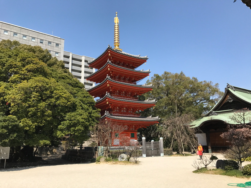 博多ガイドの会 特別企画 博多の名刹・東長寺『五重塔内陣』特別拝観