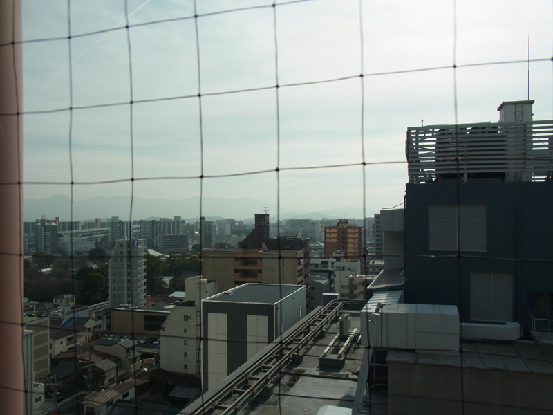 110221-daimaru-5.jpg